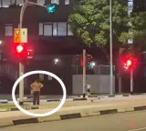 Kritika Jain shares video of Singapore traffic rules video goes viral