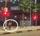 Kritika Jain shares video of  Singapore traffic rules video goes viral