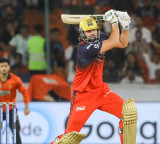 RCB star Tim David fined for throwing ice bag on umpire