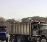 30 Indian Nationals Arrested in US as Illegal Truck Drivers Face Deportation
