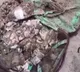 Termite Infested Cash Found In Kolkata College