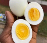 National Egg Day 2026