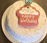Hyderabad birthday road goes viral cakes cut on dividers