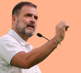 BJP Fact Checks Rahul Gandhi Economic Tsunami Claim