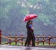 Monsoon arrives in Kerala