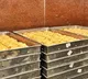 ED Conducts Searches at 15 Locations in Multi State Operation Linked to Tirumala Tirupati Devasthanams Ghee Adulteration Case