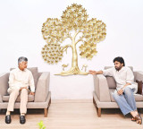 AP Rajya Sabha seat sharing complete TDP 3 Janasena 1