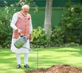 PM Modi extends best wishes on World Environment Day, applauds conservation efforts