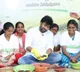 Andhra Pradesh launches preparation of 2.5 crore seed balls to boost green cover