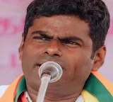 Annamalai quits BJP, Nitin Nabin accepts resignation