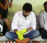 Pawan Kalyan urges everyone to plant a tree in their mothers name for World Environment Day