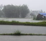 Southwest Monsoon Arrives in Andhra Pradesh Rainfall Estimates Revealed
