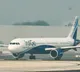 IndiGo flight bird hit at Bengaluru Airport before takeoff