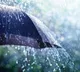Southwest Monsoons Enter AP Alert for South Coast and Rayalaseema