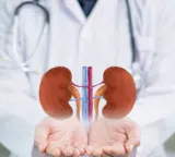 Kidney health is in our hands these habits keep them safe for a long time