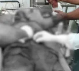 Online gaming addiction youth brutal attack on family two dead