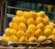 Mango is the king of fruits and also a king for health