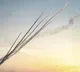 Iran launches missiles at Israel for first time since April ceasefire
