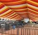 Vizag Steel Plant tragedy Alliance Sankshemam meeting in Tirupati postponed