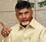 CM Chandrababu Naidu on a two day visit to Delhi