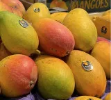 Indian mangoes spark summer rush across US