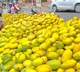 No ban on import of Indian mangoes by Nepal: Govt