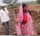 Hausabai Gaikwad plows field instead of ox Maharashtra government responds