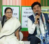 Shatrughan Sinha will stay with Mamata and has no plans to change party