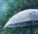 Andhra Pradesh Rains Expected Today Due to Trough Effect