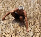 El Nino Entry To Intensify In Coming Months