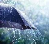 Telangana rain forecast for several districts today