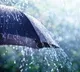 Telangana rain forecast for several districts today