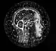 Brain Fog a new health issue troubling everyone