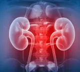Telangana tops in kidney deaths shocking facts in ICMR report