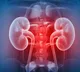 Telangana tops in kidney deaths shocking facts in ICMR report