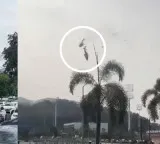 Helicopters collide in mid air Pop singer Oliver Tree among six dead