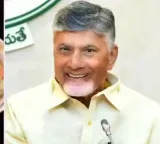 AP Government announces good news for widows