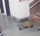 IIT Bombay shocking incident CCTV footage recorded students in fear