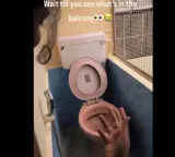 Bengaluru flat balcony toilet viral video netizens react