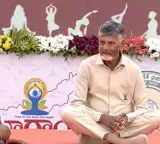 Chandrababu Naidu aims for healthy Andhra Pradesh with key yoga announcements