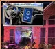 Tesla car crashes into house killing 76 year old woman in Texas