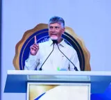 Chandrababu Naidu calls for more non profit organizations in healthcare sector at Basavatarakam event