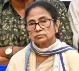 TMC bank accounts under scanner as cyber police probe five years of transactions