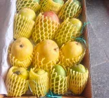 Nitin Nabin sends premium Indian mangoes to diplomats from 82 countries