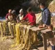 Japanese currency notes growing in Nepal hills secret revealed