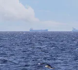 Iran's IRGC Navy warns against uncoordinated shipping through Hormuz Strait