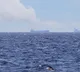 Iran's IRGC Navy warns against uncoordinated shipping through Hormuz Strait
