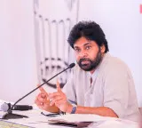 Red sanders smuggling reduced by 70 pc in two years: Pawan Kalyan
