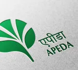 GI‑tagged Rewa Sundarja mangoes reaches UAE