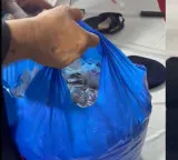 Massive poisoning plot foiled in Mumbai 15000 capsules seized